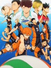 Волейбол!! / Haikyuu!! [2014, 720] [TV 1]