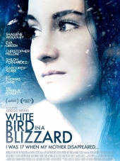Белая птица в метели / White Bird in a Blizzard [2014, BDRip]