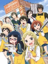 Книжный магазин на Электронной улице / Книжный в Дэнкигай / Denkigai no Honya-san [2014, HWP] [TV]