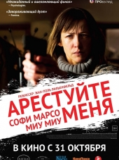 Арестуйте меня / Arretez-moi [2013, HDRip]