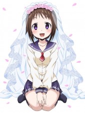Президент школьного совета моя невеста / Okusama ga Seitokaichou! [2015, 720] [TV]