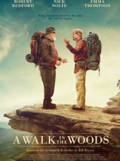 Прогулка по лесам / A Walk in the Woods [2015, HDRip]