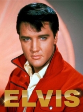 Elvis Presley - Discography (1956-2015) AAC